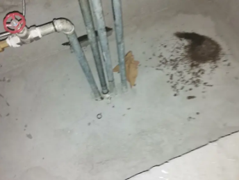 新乡卫生间测漏水价格明细